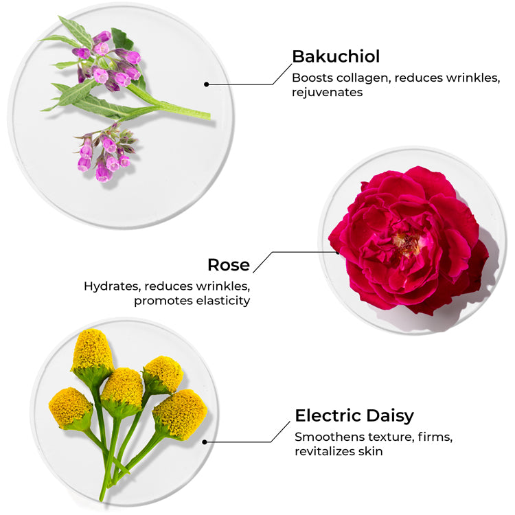 Age Revival Power Drops for Ageing Skin