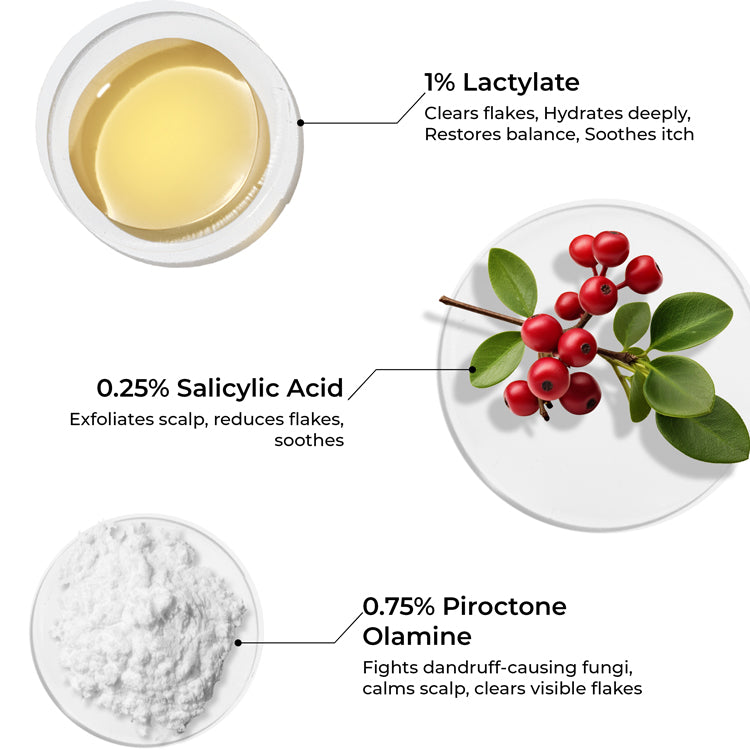 Lactylate Shampoo To Reduce Dandruff