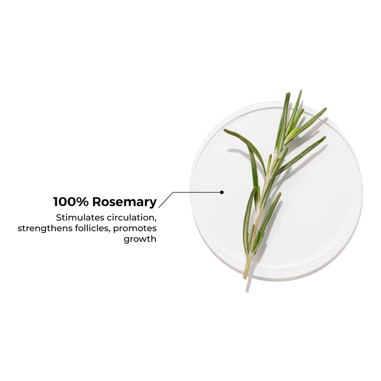 100% Rosemary Essential Oil for Hair Growth