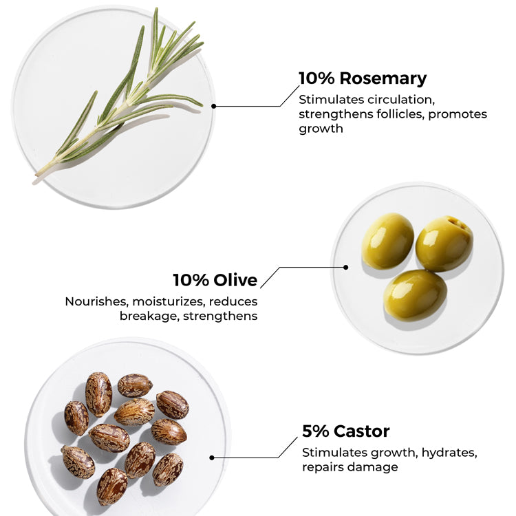 Rosemary Hair Oil with Shampoo for Hair Growth