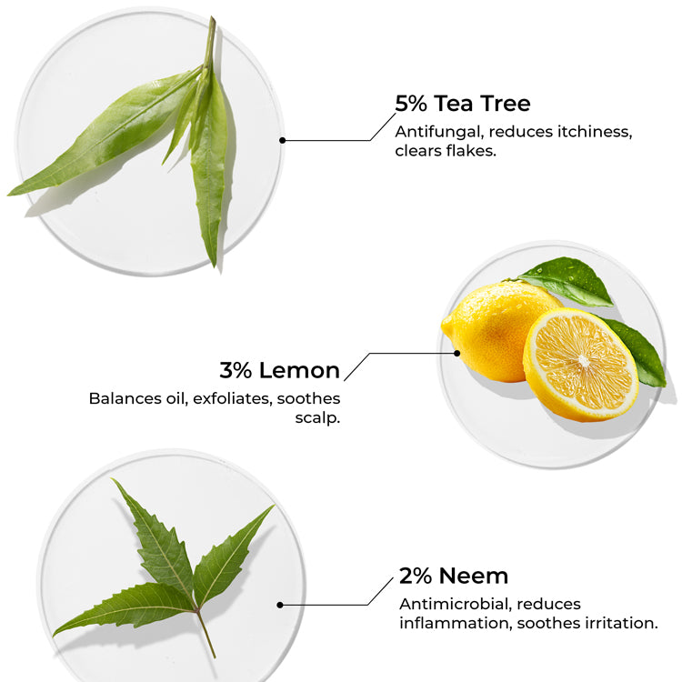 Tea Tree Hair Oil for Dandruff Control