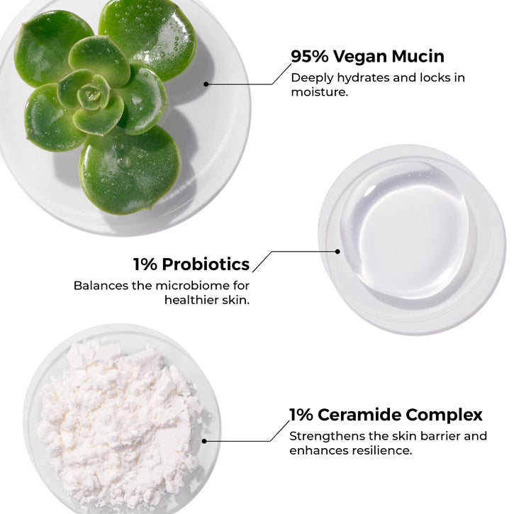 Key ingredients of Brillare Ceramide & Probiotics Vegan Mucin Serum shown in the image: 95% Vegan Mucin, 1% Probiotics, 1% Ceramide Complex.