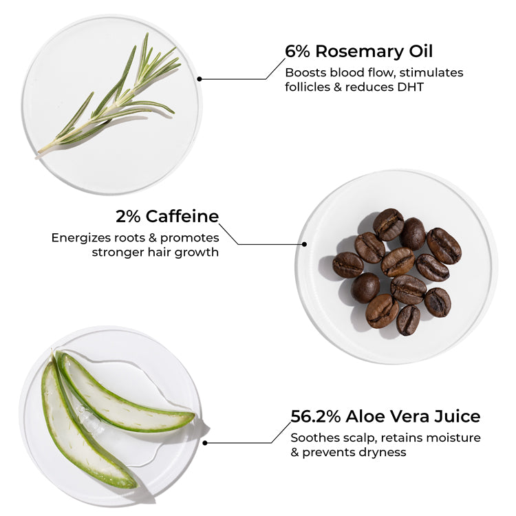 Rosemary Shampoo for Visible Hair Growth