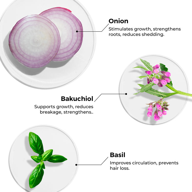 key ingredients of Brillare Onion & Bakuchiol Oil Shots shown in the image includes: Onion, Bakuchiol & Basil.