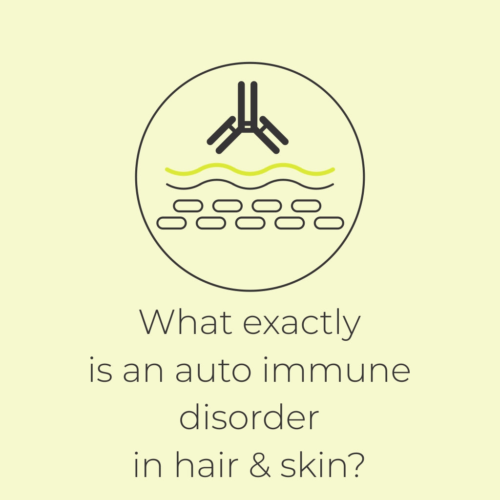 What exactly is an auto immune disorder in hair & skin?