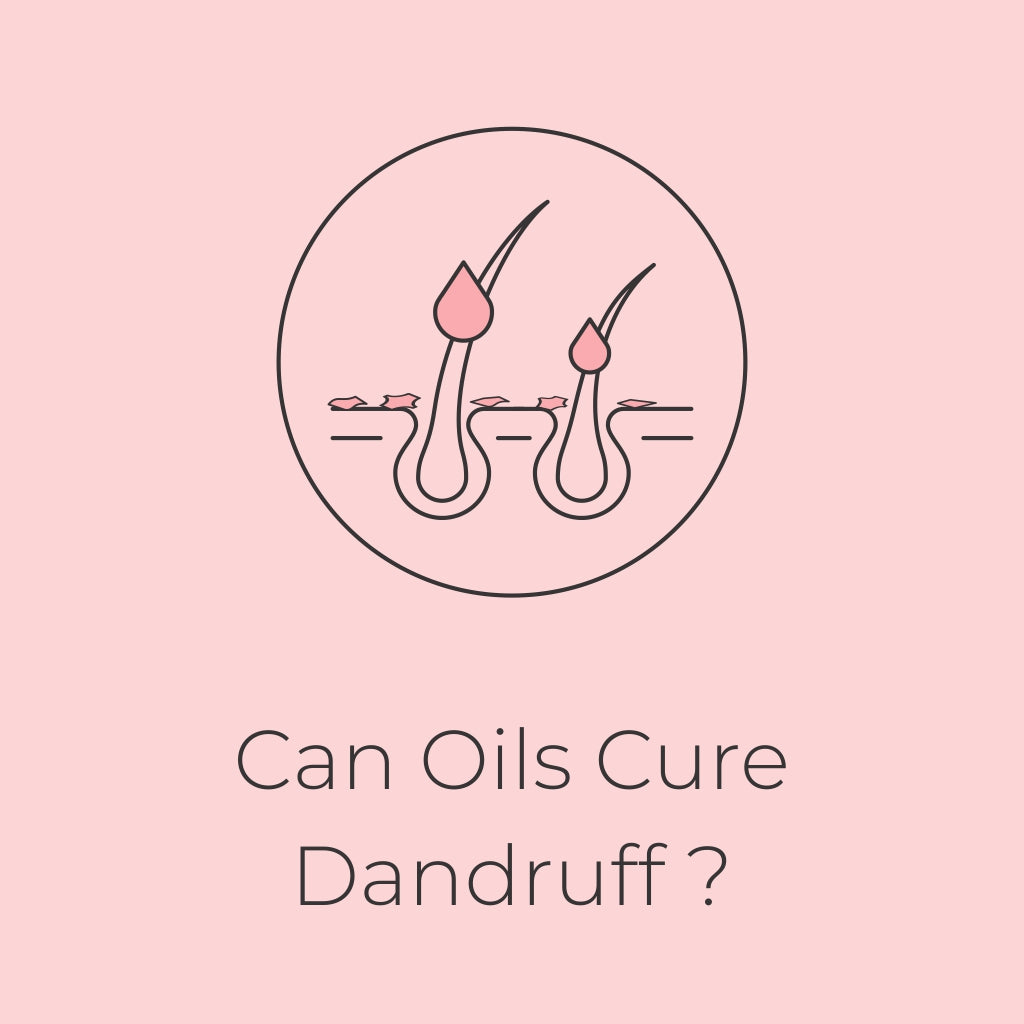 Can Oils cure Dandruff?