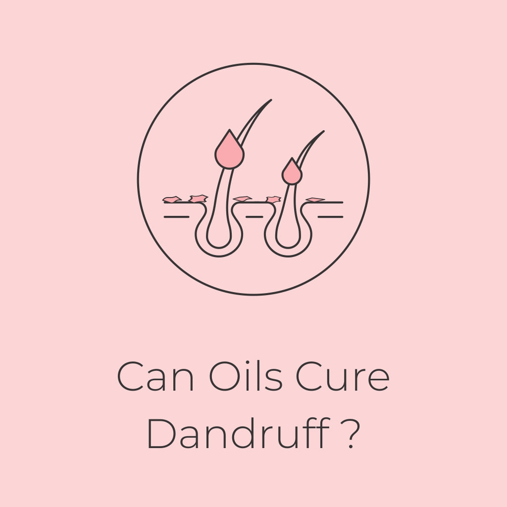 Can Oils cure Dandruff?