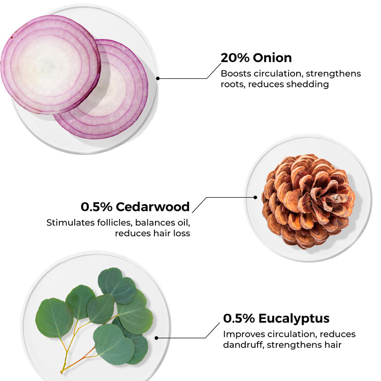 Onion Hair Oil for Hair Fall Reduction