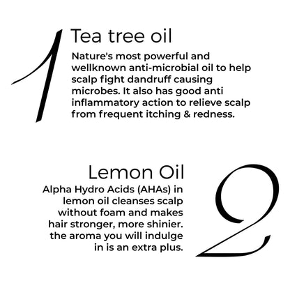 key active of Brillare Tea Tree Hair Oil mentioned in text include: Tea Tree oil and Lemon oil. 