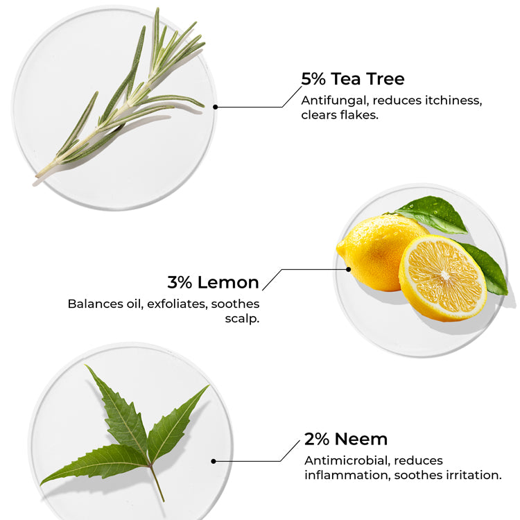 Tea Tree Hair Oil for Dandruff Control