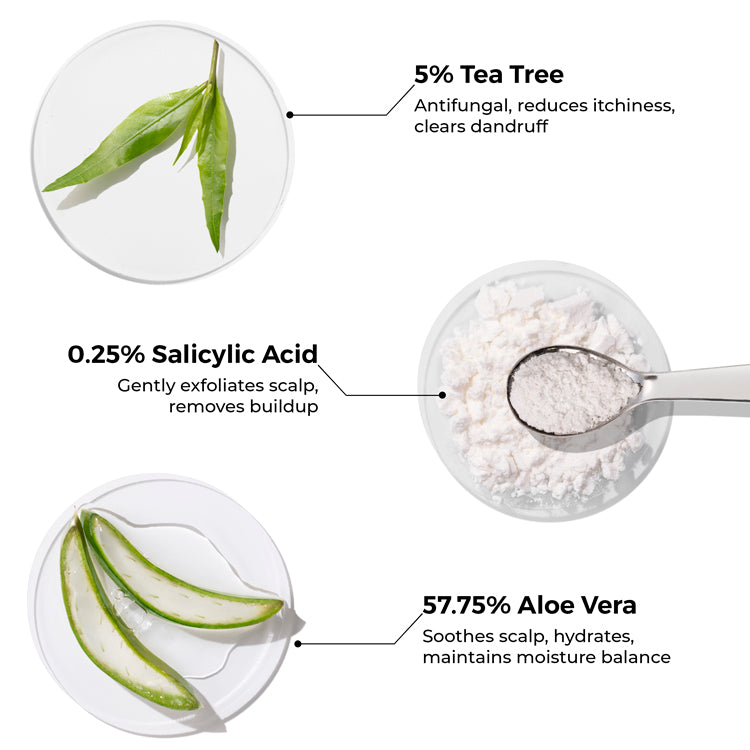 Tea Tree Anti Dandruff Shampoo