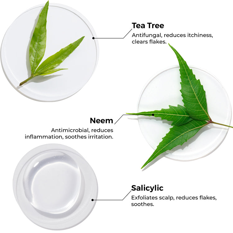 Tea Tree &amp; Salicylic Oil Shots For Dandruff Control
