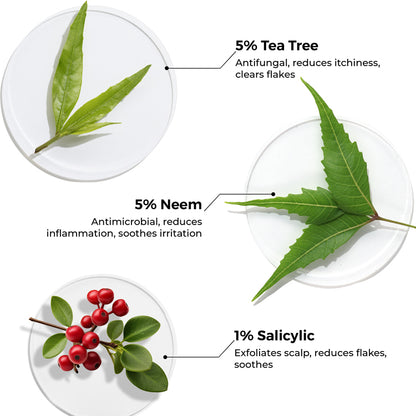 Tea Tree &amp; Salicylic Oil Shots For Dandruff Control