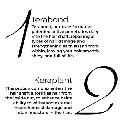 key actives of Brillare Terabond Mask mentioned in text include: Terabond &amp; Keraplant
