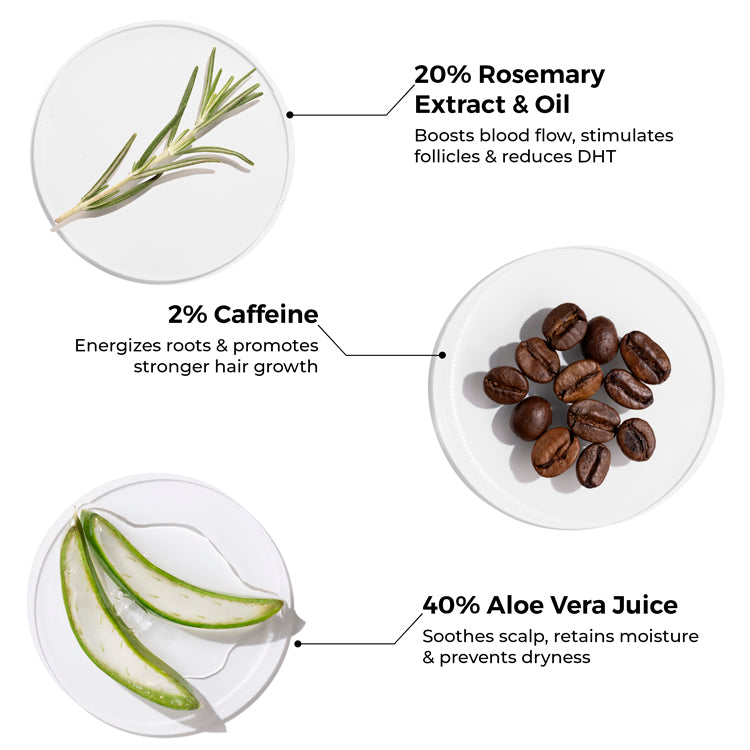 Rosemary Shampoo for Visible Hair Growth
