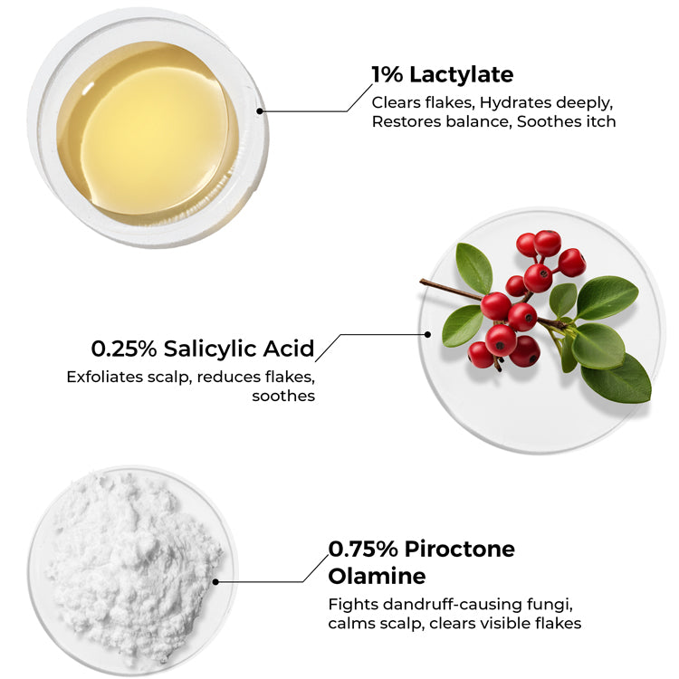 Mini Lactylate Shampoo To Reduce Dandruff (12ml)